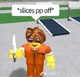 Robloc guy