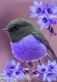 Bird roleplay