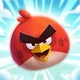 Angry bird