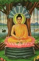 Buddha