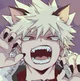 Bakugou Katsuki fox