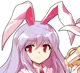 Reisen Udongein Inab