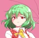 Kazami Yuuka