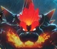 Fury Bowser 