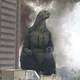 Godzilla junior