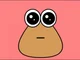 Pou
