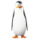 kowalski