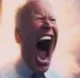 Joe the Foe Biden