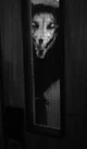 SCP RPG