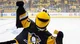 Iceburgh