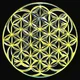 Sacred Geometry