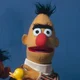 Bert