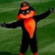 The Oriole Bird
