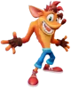 Crash bandicoot 