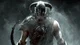 Skyrim RPG