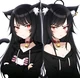The catgirl twins