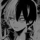 Shoto Todoroki