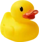 Rubber Ducky