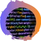 CSS Reader