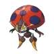 Orbeetle