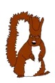 squirreljak