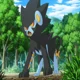 Cyborg Luxray