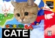 Super Cate 64