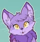 Furry Cat Amity