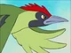 Willy Woodpecker