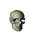 spinning skull 