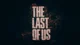 Last Of Us RPG