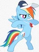 Coach Rainbow Dash