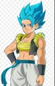 Female Gogeta