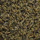 ten thousand bees