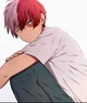 Shoto Todoroki 