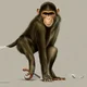 Pongo the wise monke