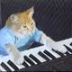 -Musician cat
