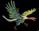 Archaeopteryx