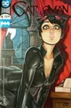 catwoman selina kyle