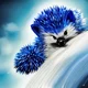 A Blue Hedgehog