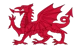 Dewi Y ddraig Goch