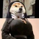 Shiba Nun