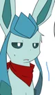 Frost the glaceon 