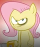 Fluttershy SHED MOV