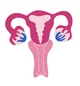Vagina