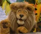 Chuck the Lion