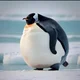 A fat chunky penguin