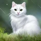 UwU cat