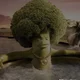 Bobby Broccoli