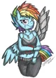 Punk dash